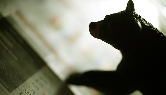 animals-that-inhabit-financial-markets-700x400.jpg